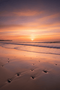 Sunset Beach Landscape